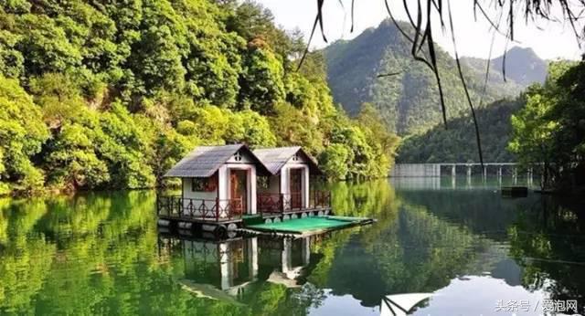 江浙沪深山老林旅游最好去处,清凉避暑好去处森林氧吧