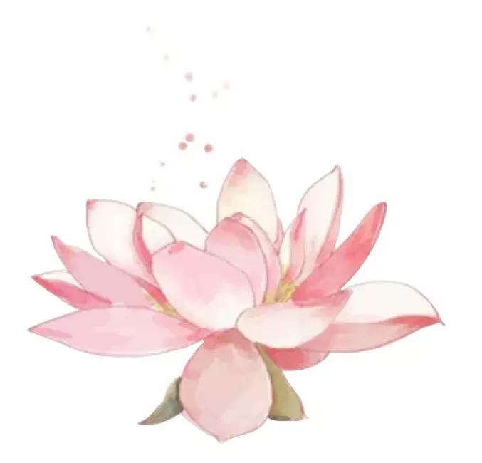 何湛兮:荷花的别名与诗词