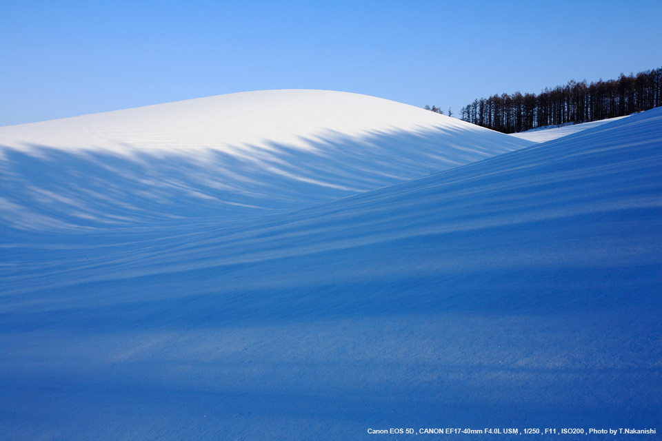 佳能17-40mm和24-70镜头评测,佳能17-40镜头最新款