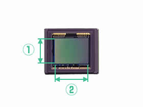 单反相机新手零基础教学佳能相机,佳能数码相机摄影技巧大全