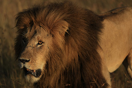 佳能单反相机操作使用设置教程,单反相机新手基础教程佳能