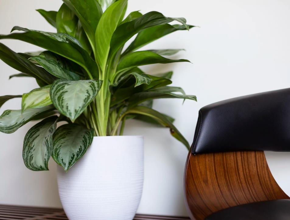 职场办公室风水禁忌图解,职场办公室风水座位摆设