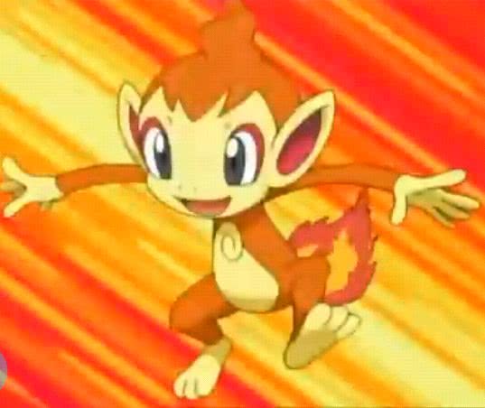 宠物小精灵初始宝可梦,宠物小精灵三个初始精灵