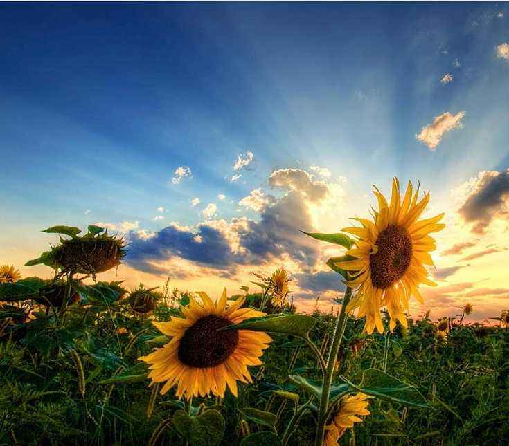 情侣分手最后的体面的道别,情侣分手后最后的道别