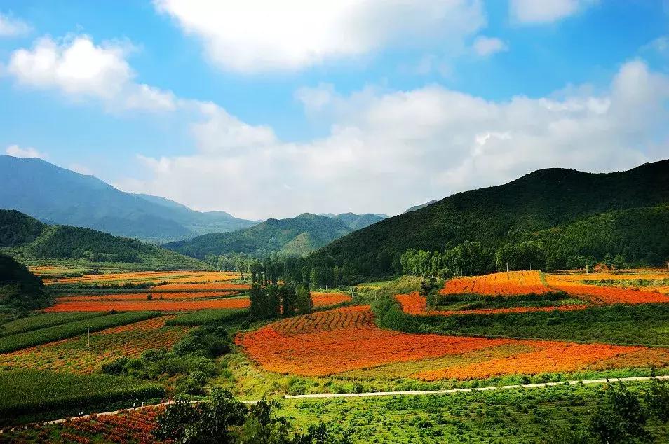 百里山水画廊四季花海,周末美好时光畅游千亩花海