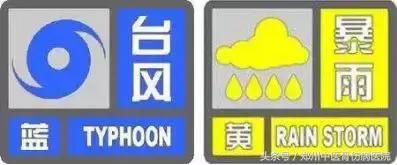 暴雨大风高发期做好防范,暴雨多发怎么防止病害