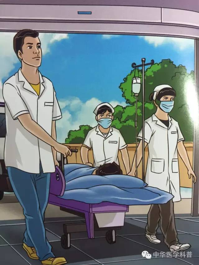 中暑常识100例,宠物中暑的急救常识