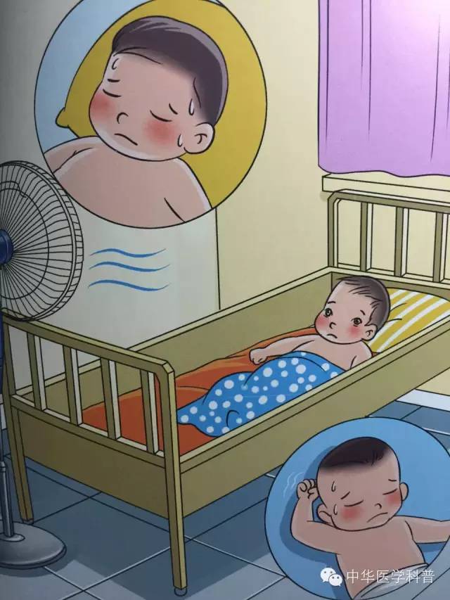 家庭急救与护理知识中暑,猫中暑的急救常识