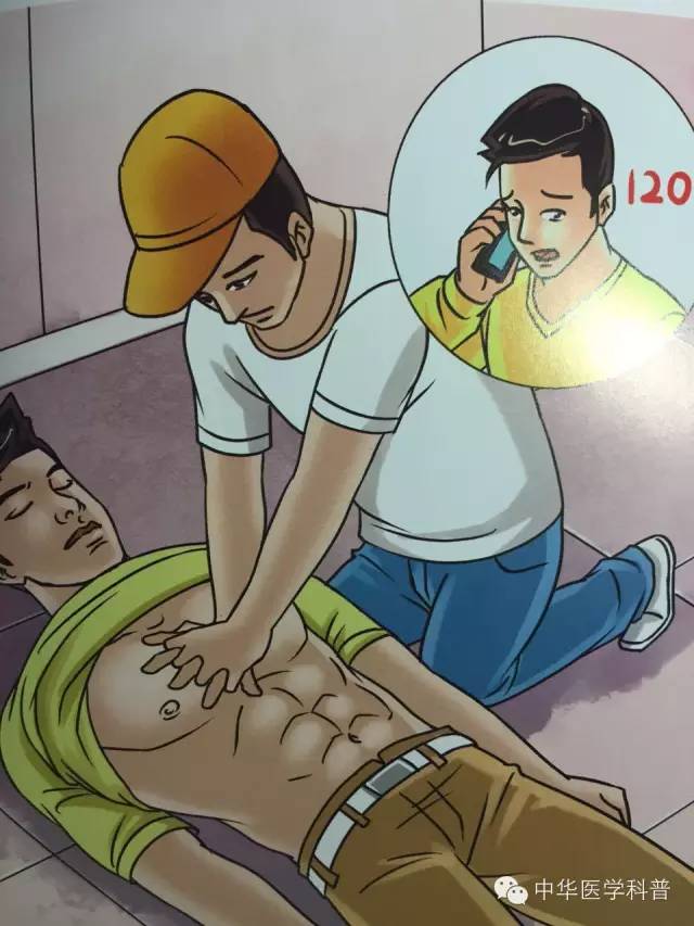 家庭急救与护理知识中暑,猫中暑的急救常识