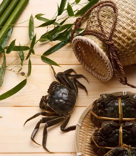 正宗的阳澄湖大闸蟹多少钱一只,正宗阳澄湖大闸蟹价格多少