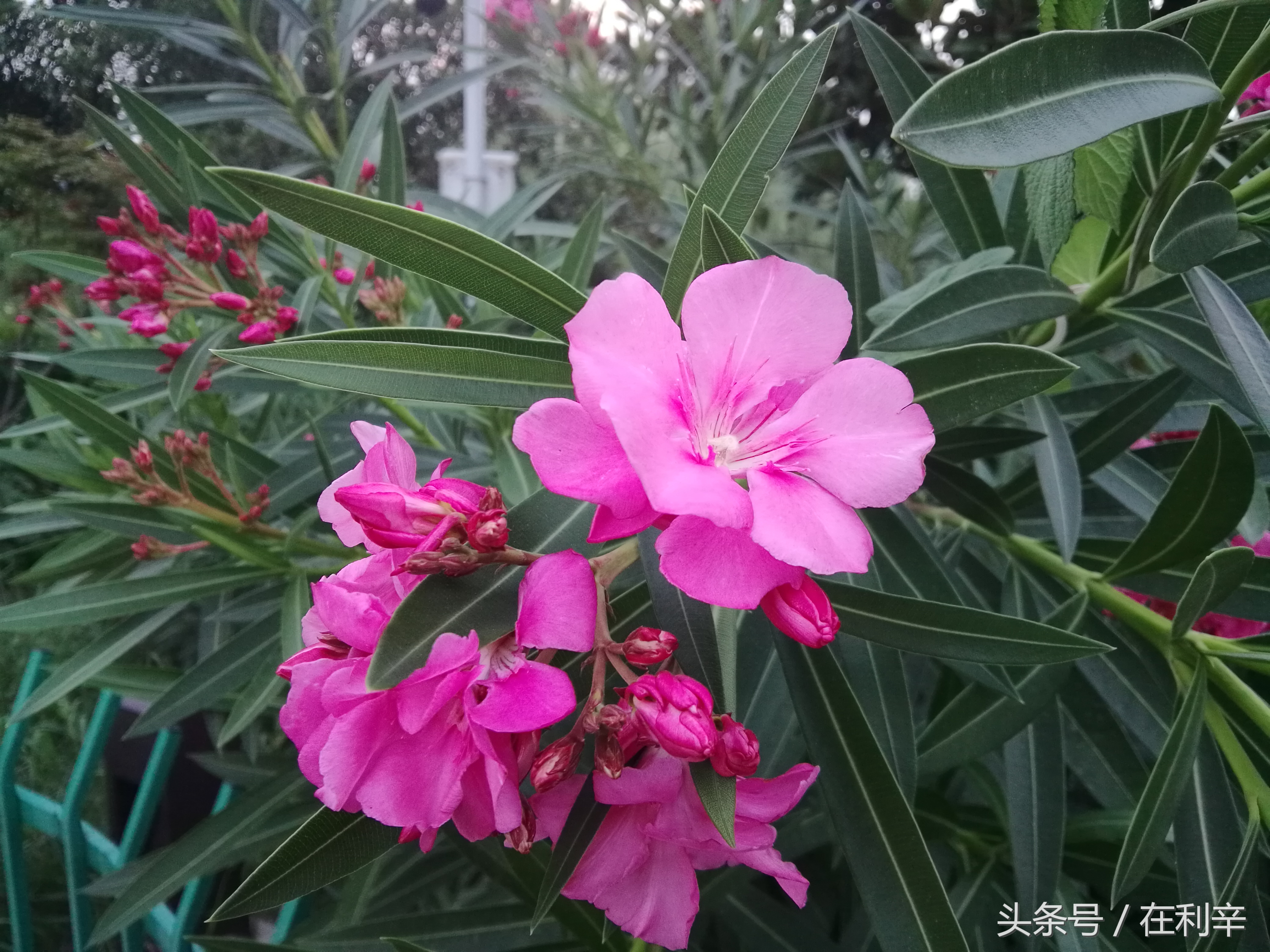 利辛日常生活,亳州利辛县日常生活