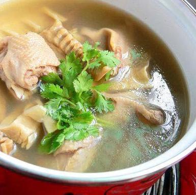 老鸭汤怎么做适合孩子吃养胃,老鸭汤怎么煲才能补气血养胃