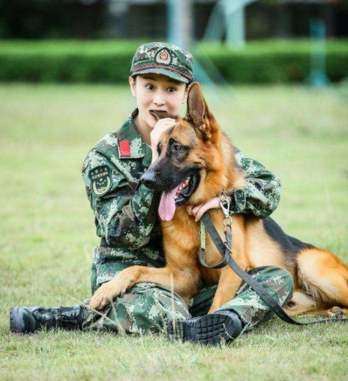 嫁给爱情的张馨予有多幸福,张馨予历经挫折终获幸福