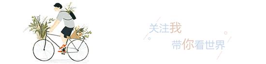 肯尼亚和坦桑尼亚哪个值得去,坦桑尼亚刚刚好之行