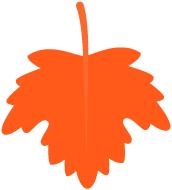 小学体育见习日志,学前教育见习日志