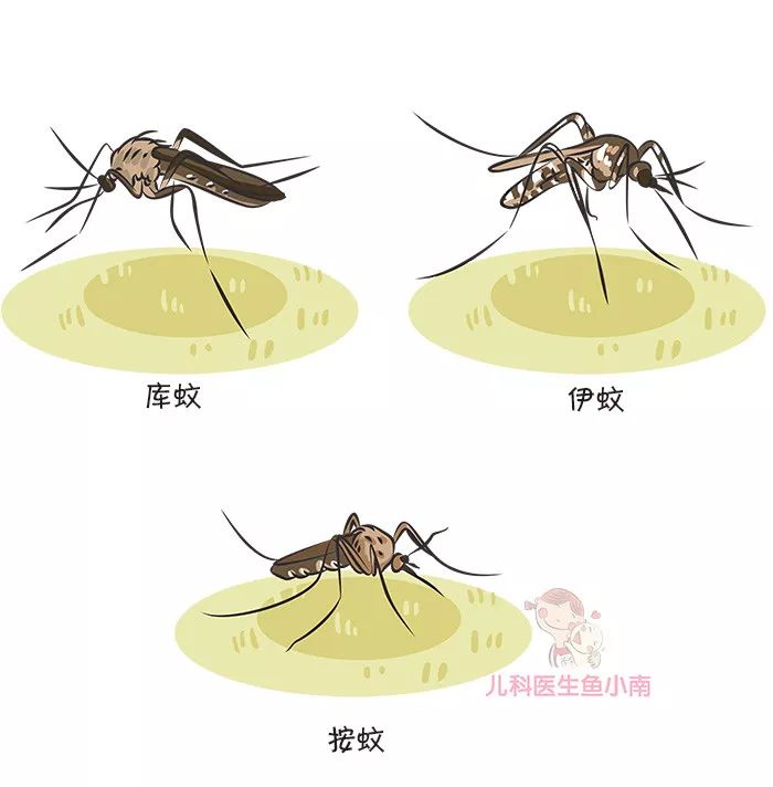 宝宝夏天外出，哪些防蚊办法最管用，排第一的方法你能猜到吗？