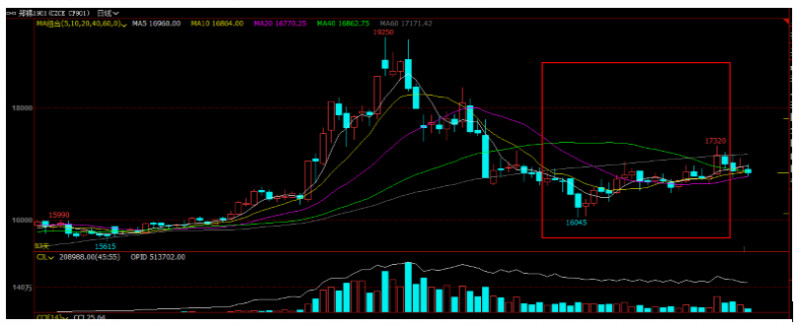 棉花期货郑棉跟随美棉涨跌,棉花郑棉期货最新走势图