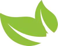 满满蕉叶情！这是麻涌人永远忘不掉的家乡味道