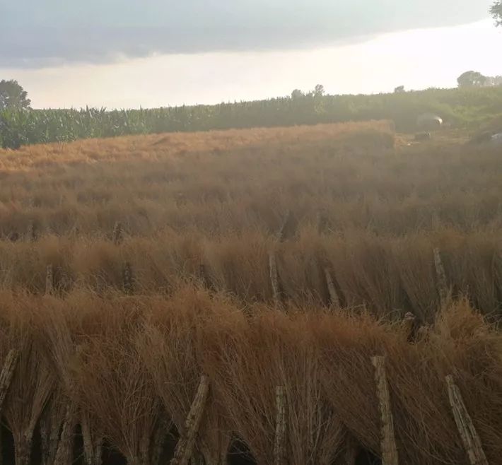 文明城市哈尔滨,文明哈尔滨