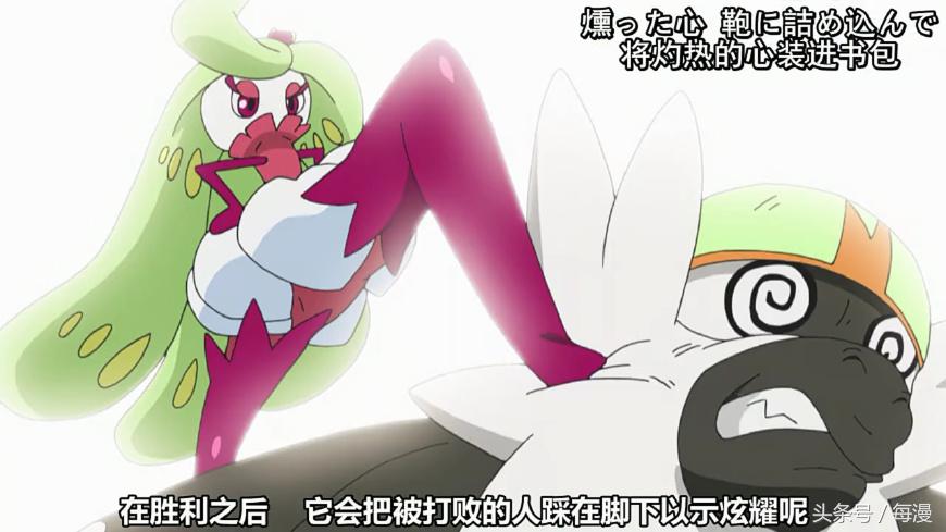 小智的木木枭最终进化了吗,小智的木木枭后来进化了吗