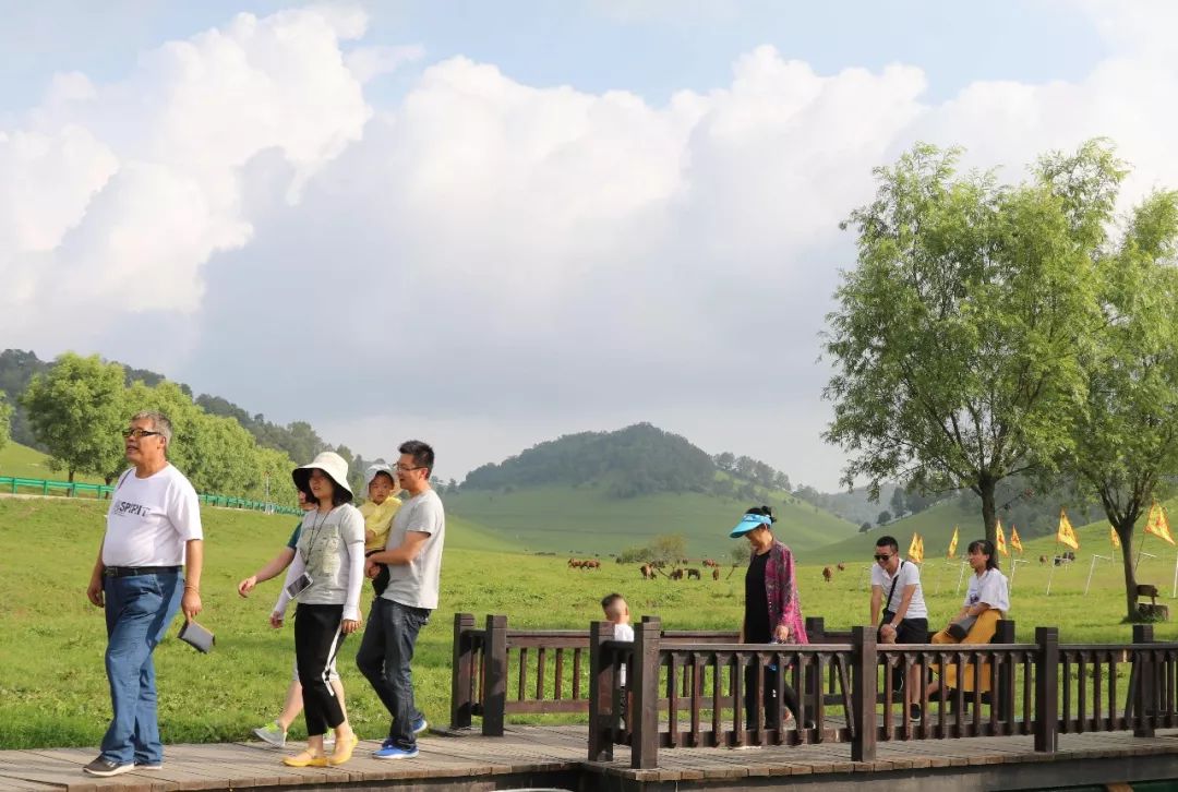 人从众的模式,人从众