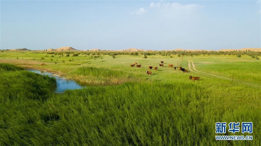 天空之眼瞰库布其沙漠