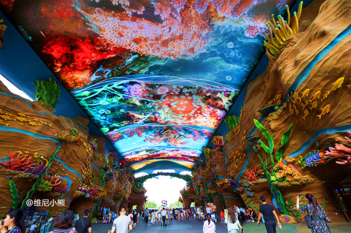 暑假珠海长隆最全游玩攻略,珠海长隆海洋王国暑假门票多少钱