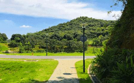 深圳最新开放公园景点图片欣赏,深圳最新的一个超级公园