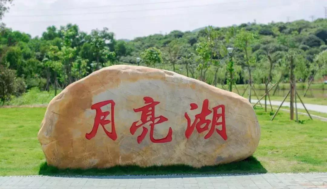 深圳最新的一个超级公园,深圳美景免费景点