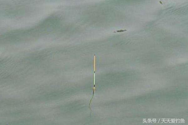 钓鱼时应该怎么选择浮漂,钓鱼老手都说调漂桶没有用实话吗