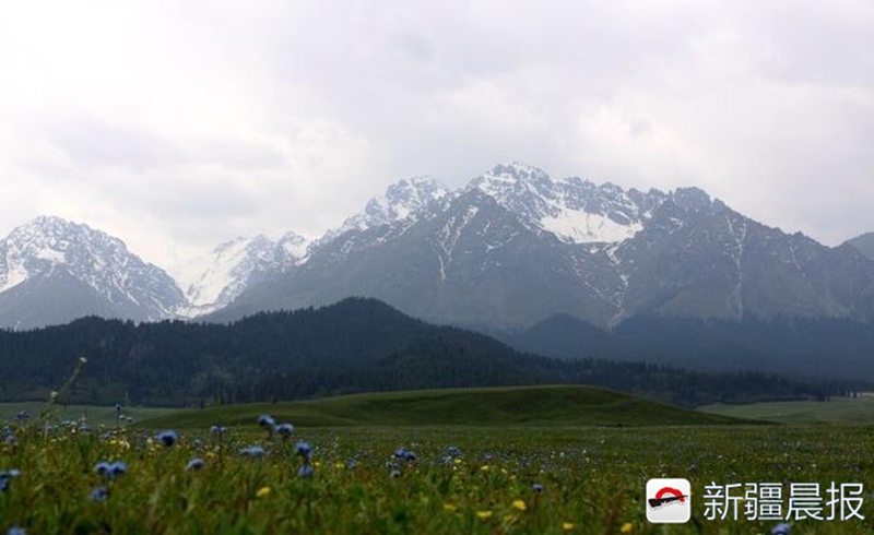 沙湾鹿角湾攻略,沙湾都有啥美景