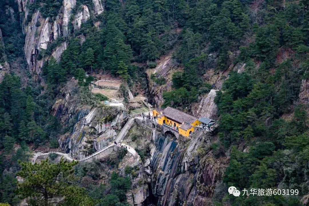 我被录取了,我被录取了图片