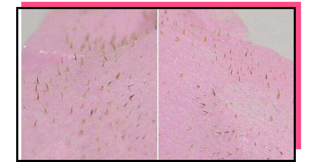 这八种东西被吹上天,八种被吹上天的食物你买过吗