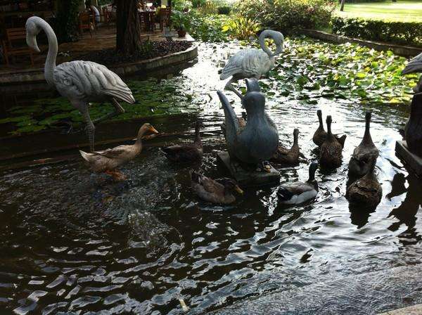 三亚三日游带孩子攻略,三姐妹游三亚