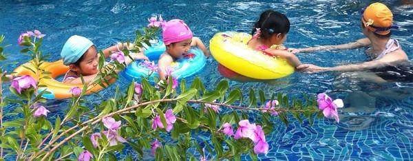 大宝二宝三亚游,三亚三妈游玩攻略