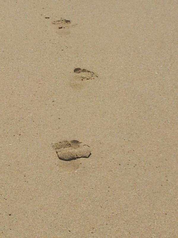 三宝妈妈三亚旅游,三宝妈妈三亚