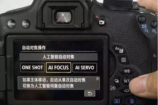 怎样对焦最清晰,怎样正确对焦和曝光