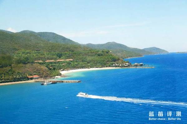 蓝莓评测美国蓝莓,蓝莓评测