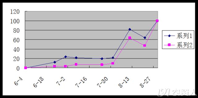 葡萄常见病害对照表,阳光玫瑰葡萄常见病害