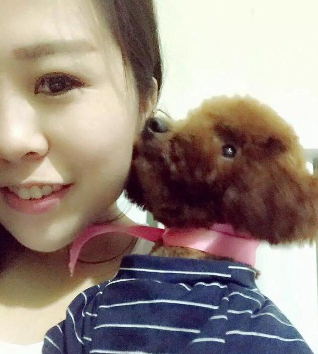 泰迪老是喜欢舔主人手是怎么回事,泰迪狗狗舔主人脖子意味着什么