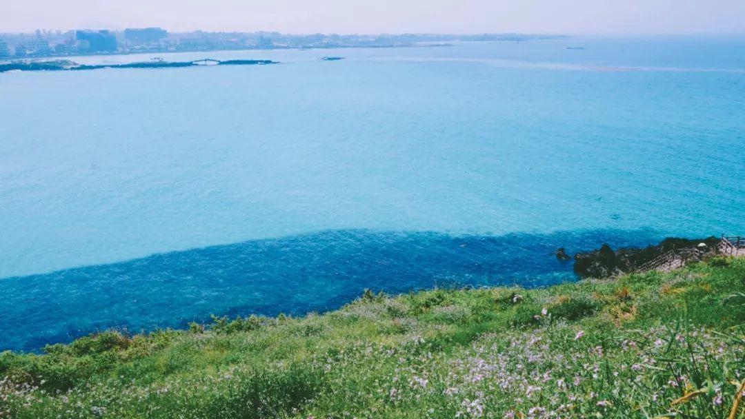 济州岛出游攻略视频大全,济州岛旅行避坑攻略最新