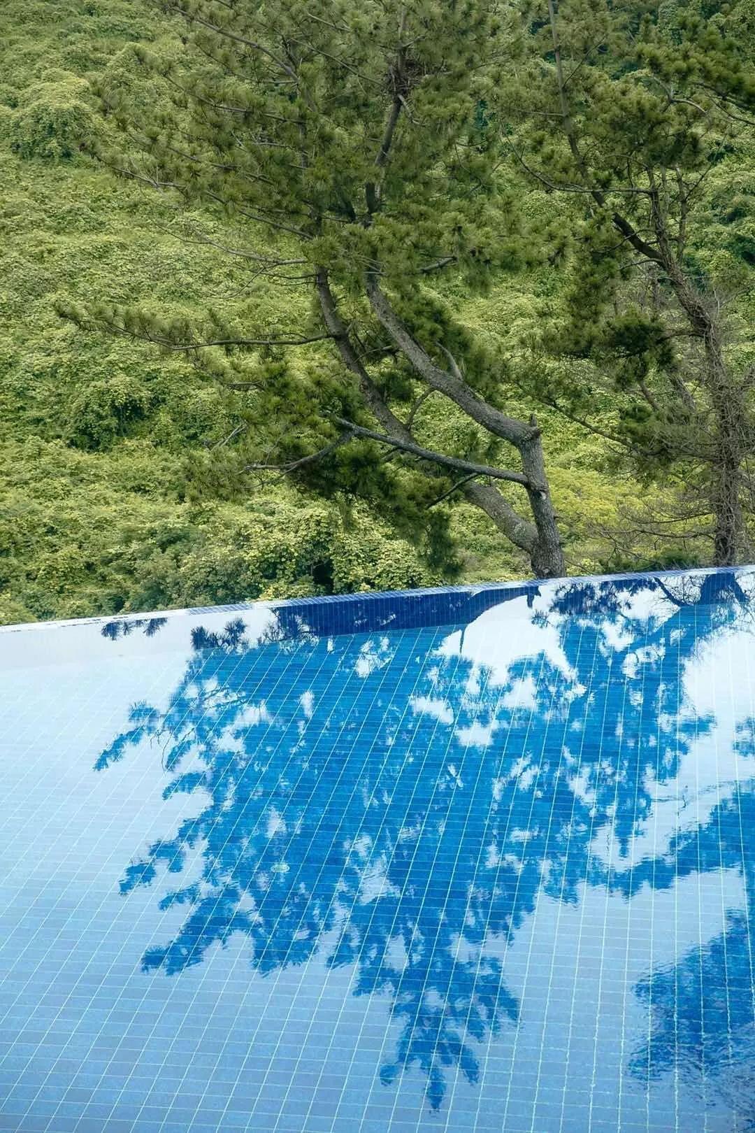 济州岛出游攻略视频大全,济州岛旅行避坑攻略最新