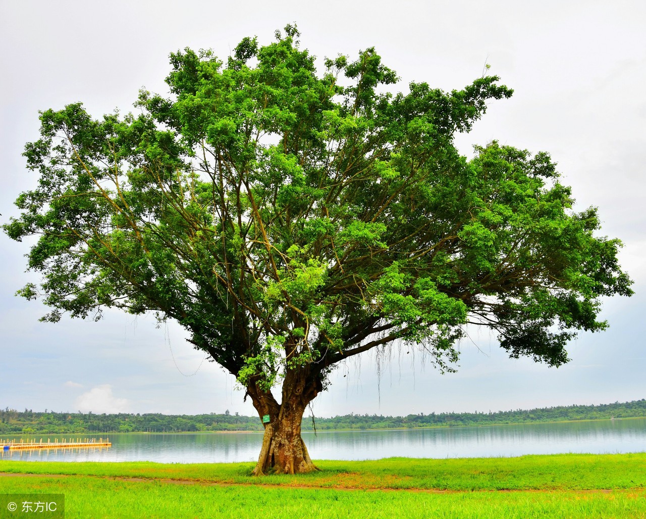 脸皮薄有什么好办法,脸皮太厚怎么办怎么让脸皮变薄