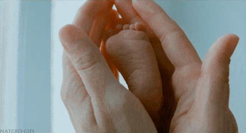 孩子出生证预防本全部丢了怎么办,出生证丢了上户口就必须鉴定吗