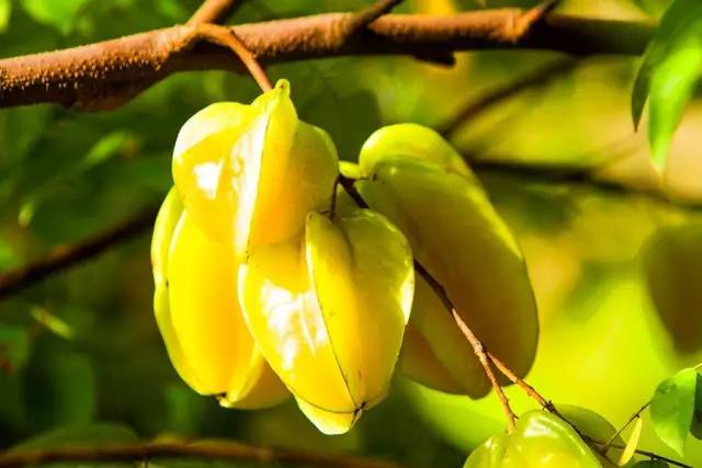 有哪些关于立秋的小知识,今日立秋有啥说道吗