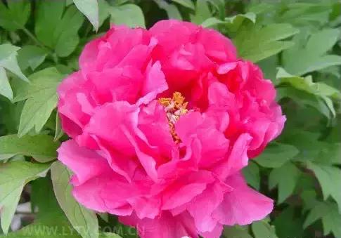 8.8发财日的祝福,8月18日发财日早安祝福图片