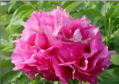 8.8发财日的祝福,8月18日发财日早安祝福图片