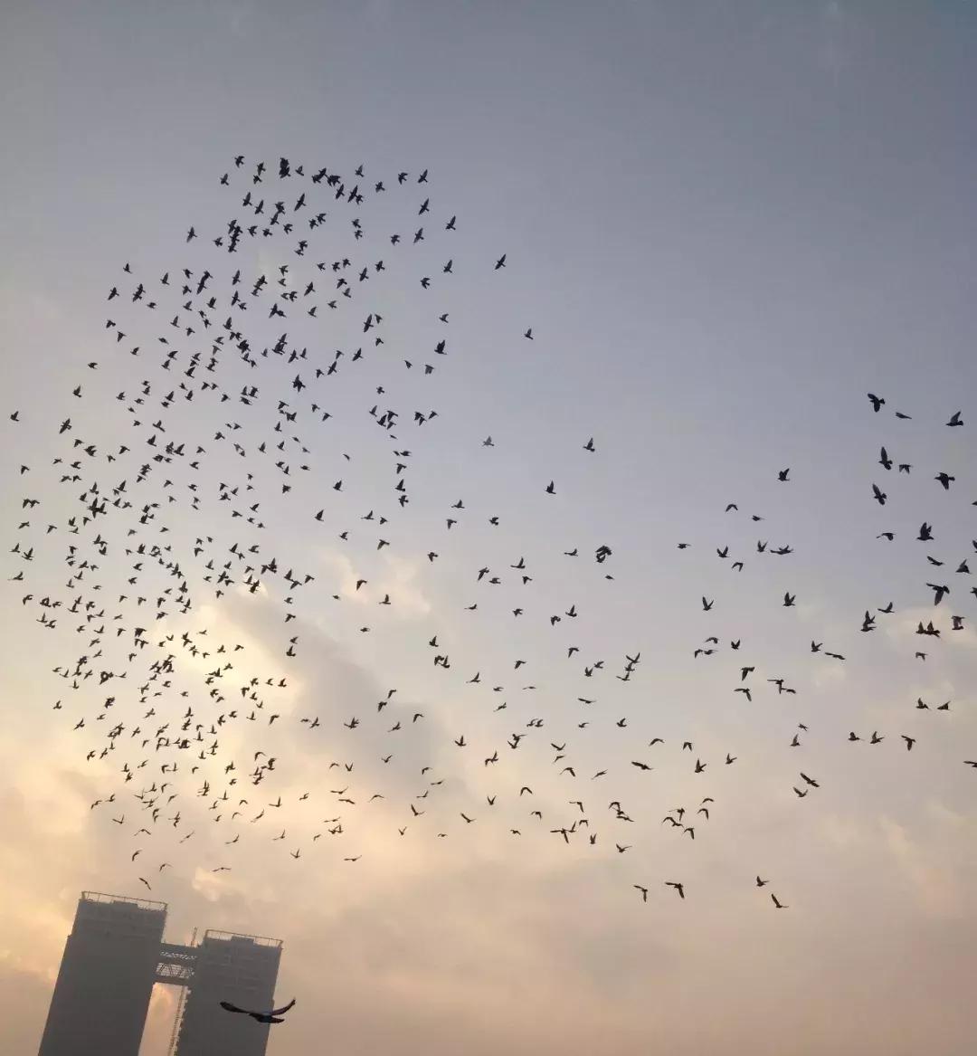 今天好多人将“跃入”瓜渚湖！他们要……快跟着一起“动起来”！