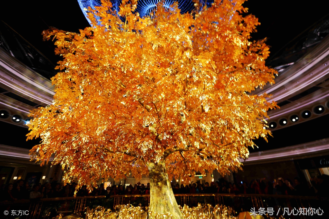 早上好，今天8月8日，百年一遇的发财日，送你8个发，打开就发财