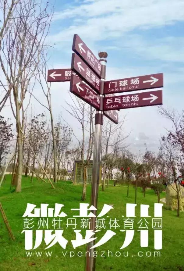 成都155个公共体育场馆免费,成都体育场有序开放